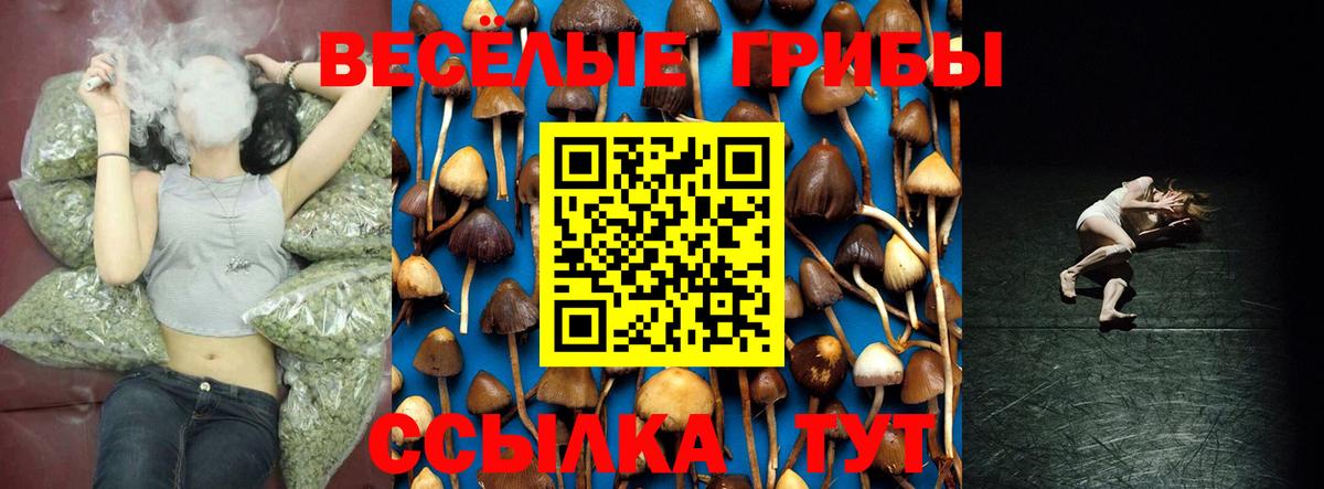 Галлюциногенные грибы MAGIC MUSHROOMS  Псилоцибиновые грибы Magic Shrooms  Фрязино  Вход с VPN 